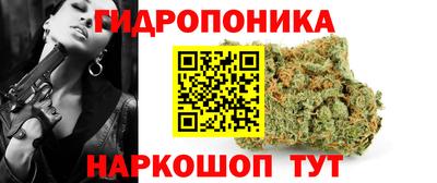 гидра Лесосибирск